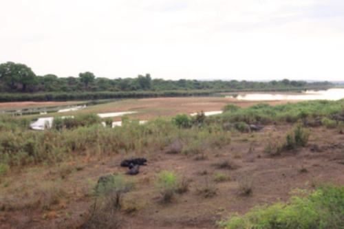 Lower Sabie (5)